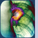 Advanced NSCLC