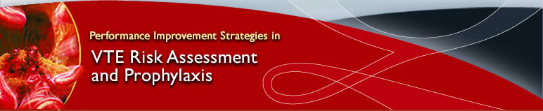 Performance Improvement Strategies in VTE Risk Assessment and Prophylaxis