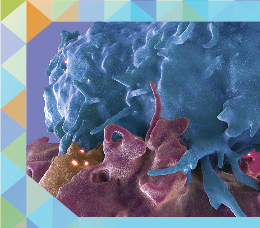 Implementing PrEP in Clinical Practice: Assessing HIV Risk and Supporting PrEP Adherence to Maximize HIV Prevention