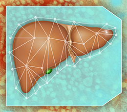Individualized Patient Assessment and Counseling for Transformed HBV Care: Research and Findings