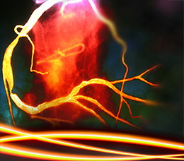 <i>Medical Insiders:</i> The Softer Side of Improving SIHD Care in the Real World