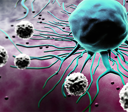 Keeping Up With CDK 4/6 Therapy in HR-Positive, HER2-Negative Advanced Breast Cancer