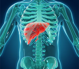 Capacity Building in Hepatitis C: Choosing and Optimizing Treatment