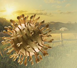 Providing Comprehensive Care for Patients With HCV: An Overview for Nonspecialists