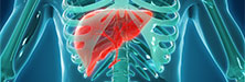 Evidence-Based Treatment for Patients With HCV: Developing Physician Assistant and Nurse Practitioner Experts Evidence-Based Treatment for Patients With HCV: Developing Physician Assistant and Nurse Practitioner Experts